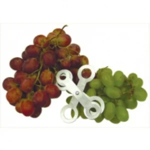 Table Grape & Small Fruit Sizer Manufacturers